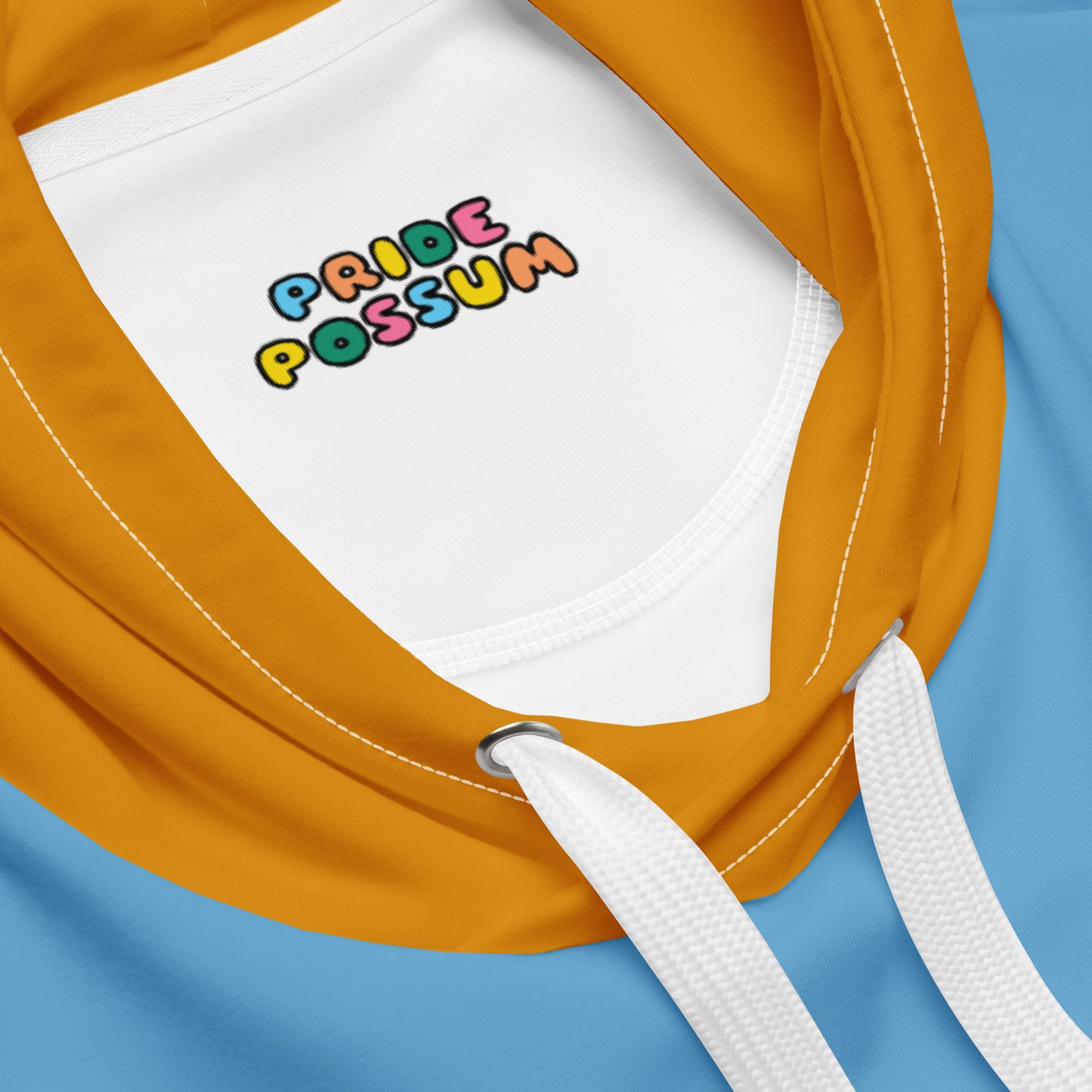 Aroace Pride Color Block Hoodie