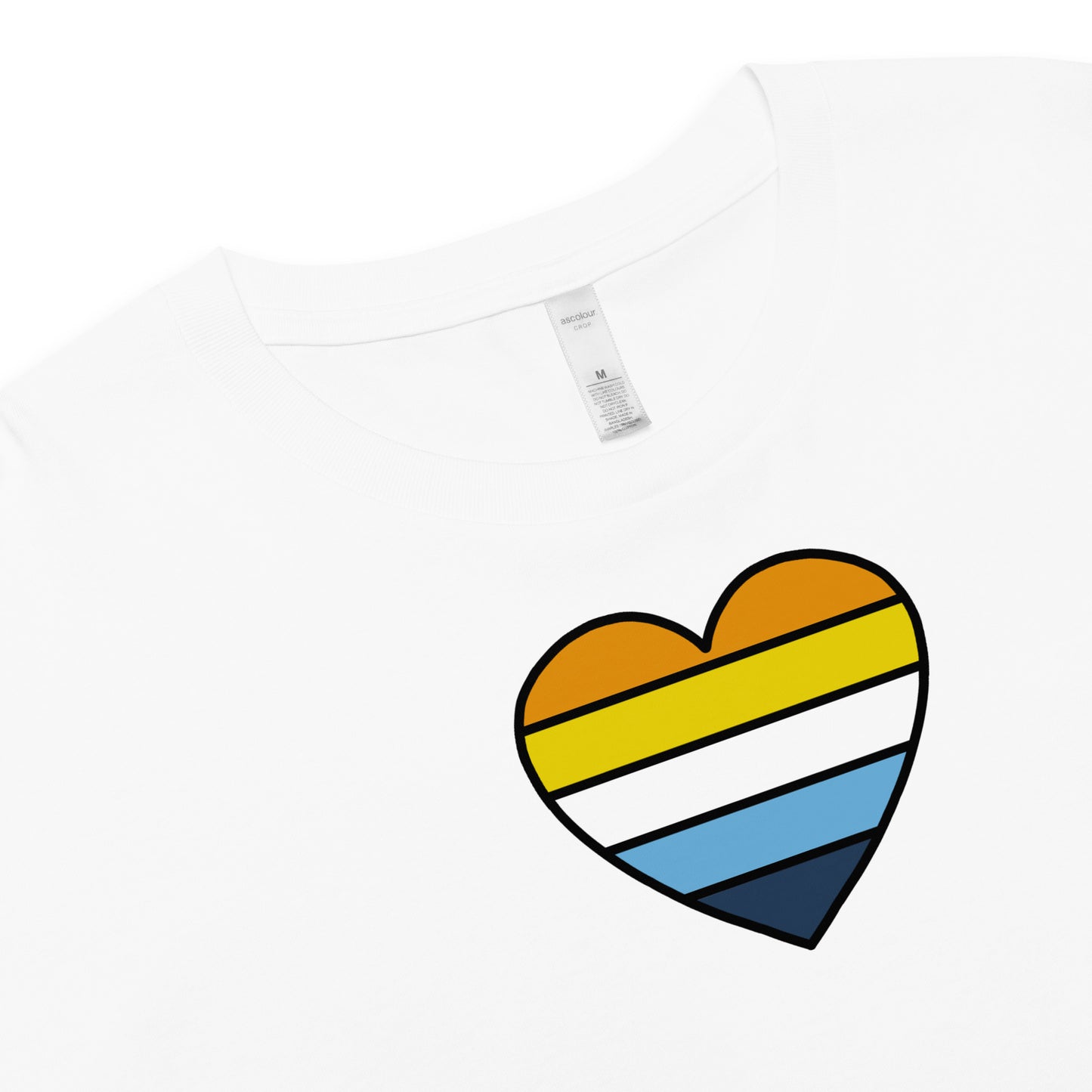 Aroace Pride Heart Crop Top