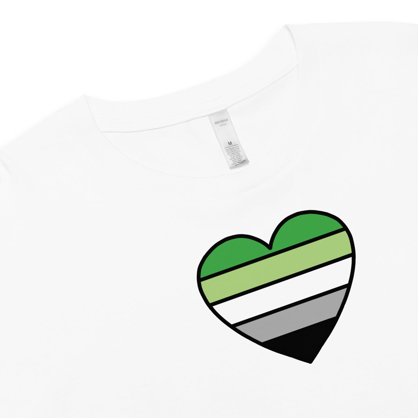 Aromantic Pride Heart Crop Top