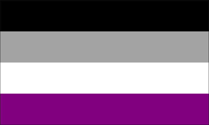 Asexual pride flag meaning and colors explained – black gray white and purple ace flag symbolism