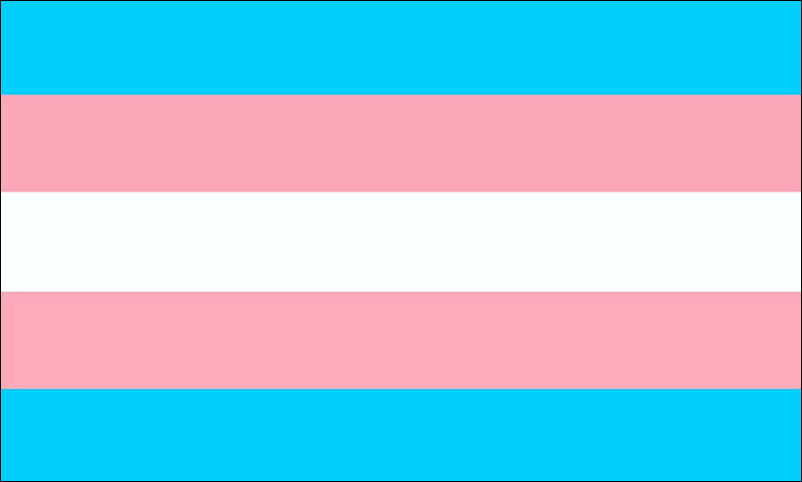 The Transgender Pride Flag: Meaning, History, and What the Colors Represent