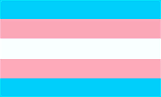 The Transgender Pride Flag: Meaning, History, and What the Colors Represent