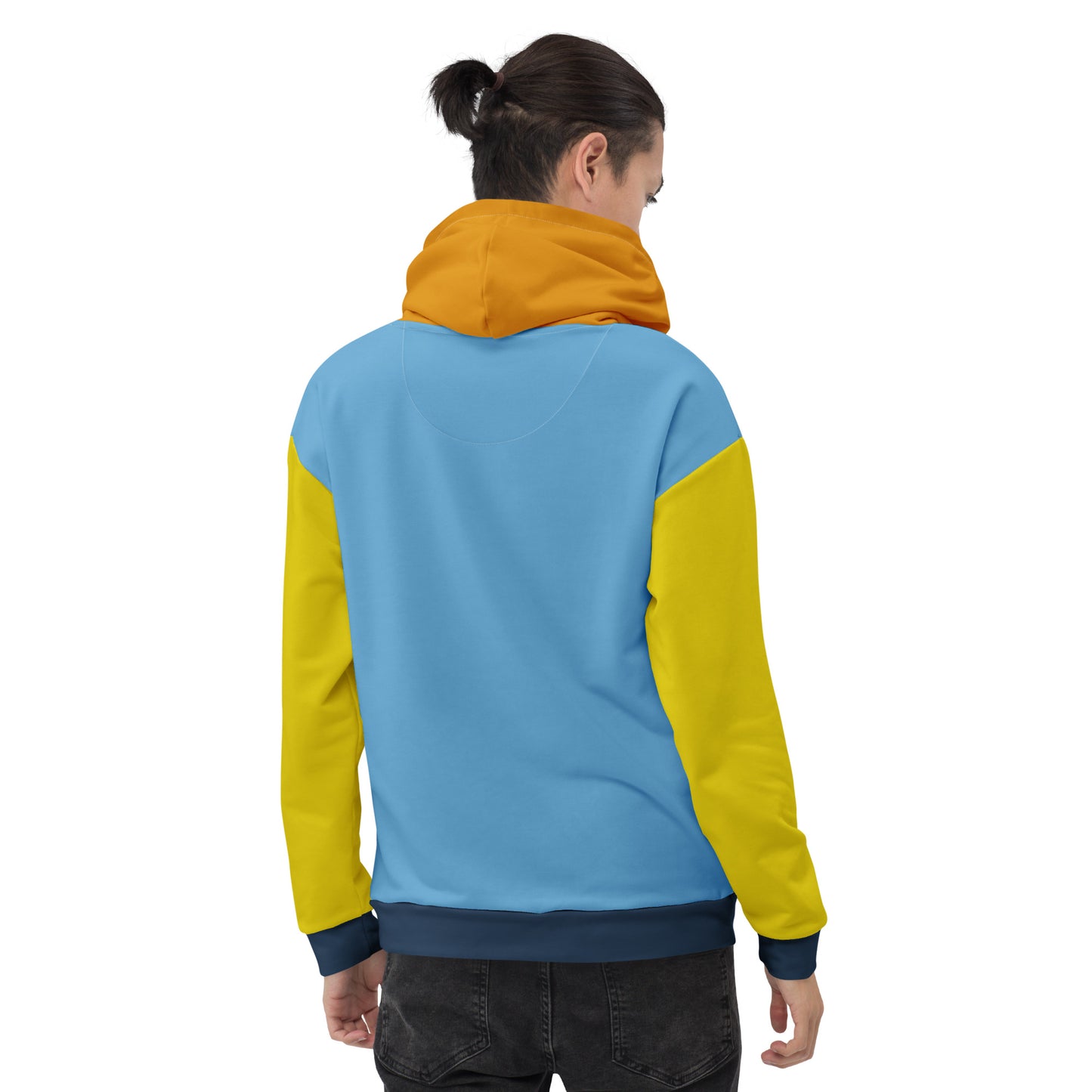 Aroace Pride Color Block Hoodie