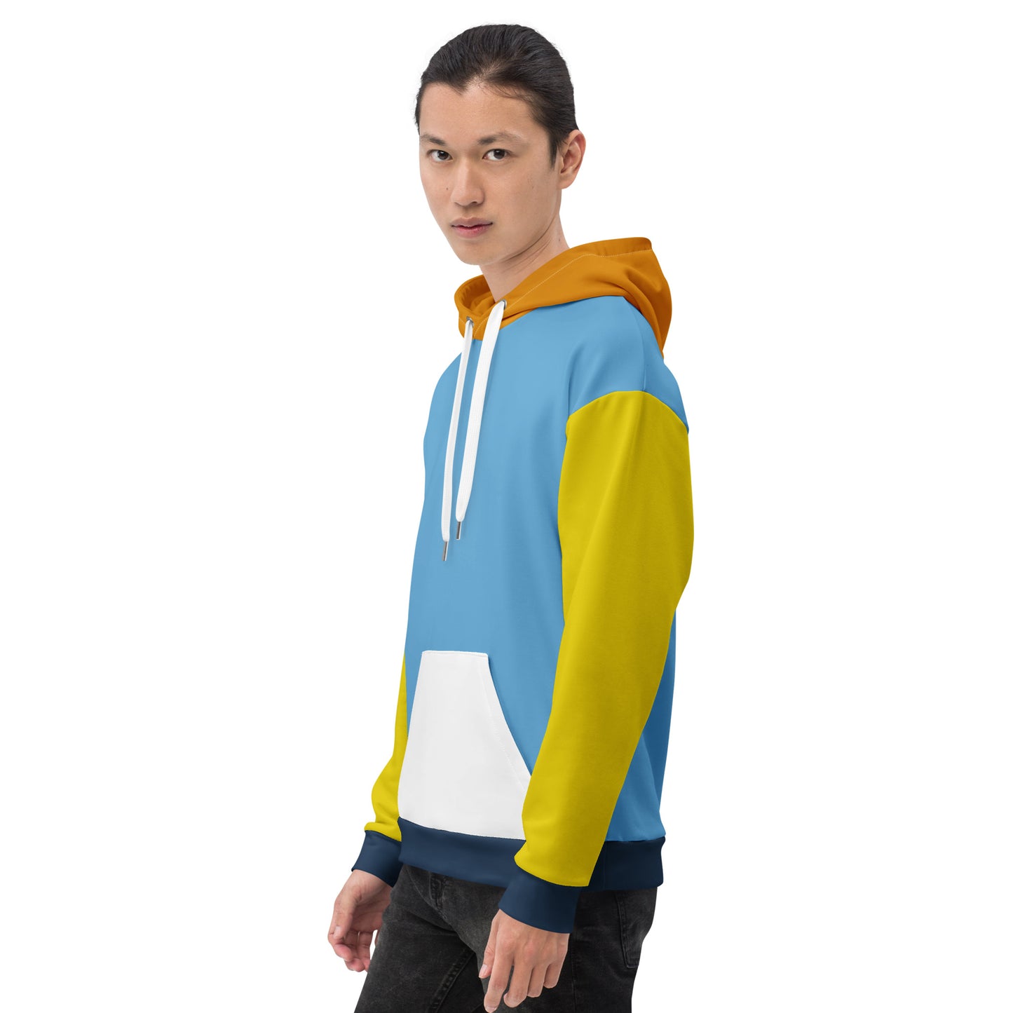 Aroace Pride Color Block Hoodie