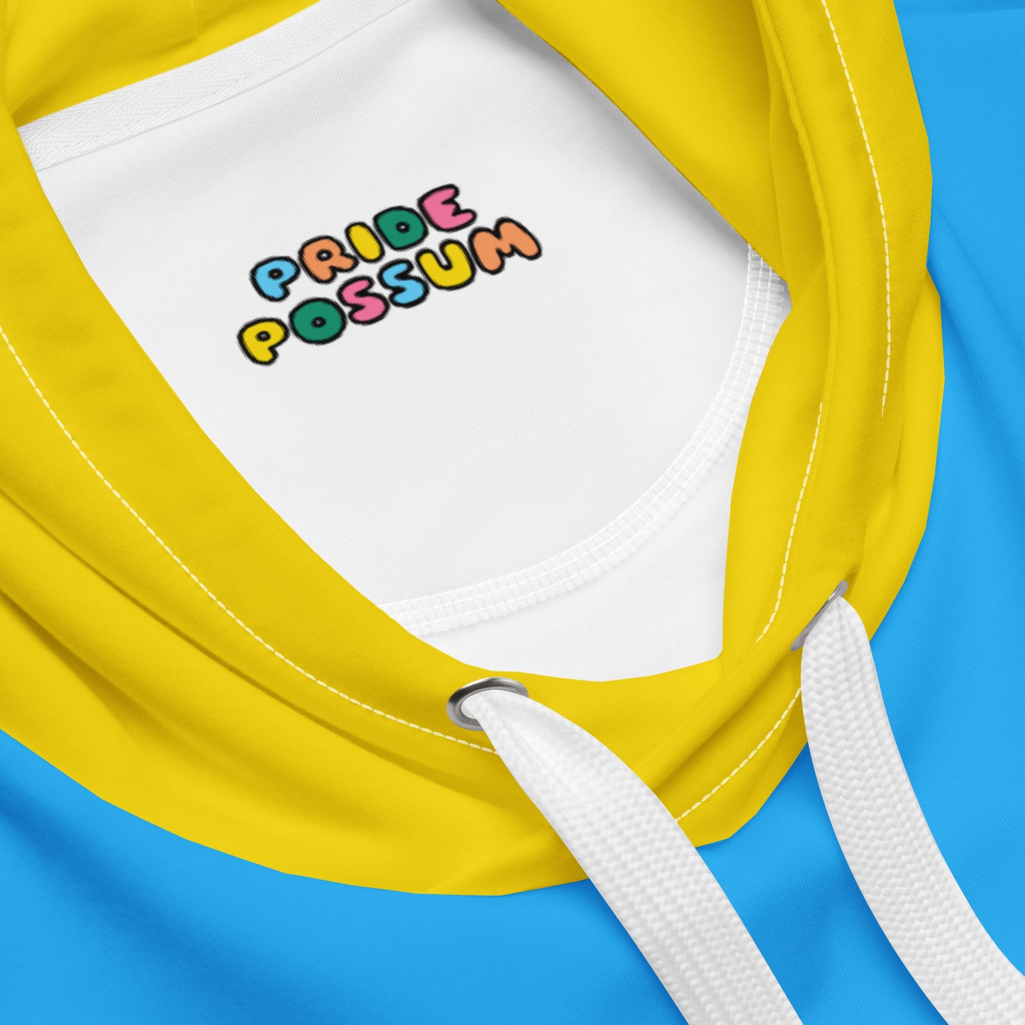 Pansexual Pride Color Block Hoodie