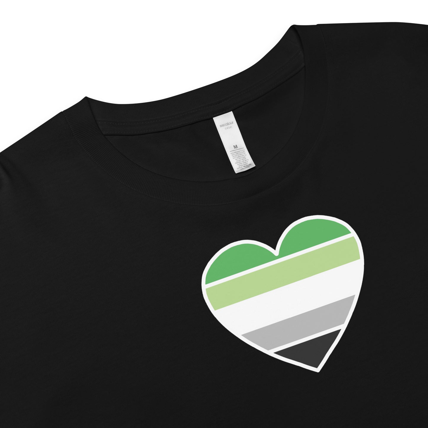 Aromantic Pride Heart Crop Top
