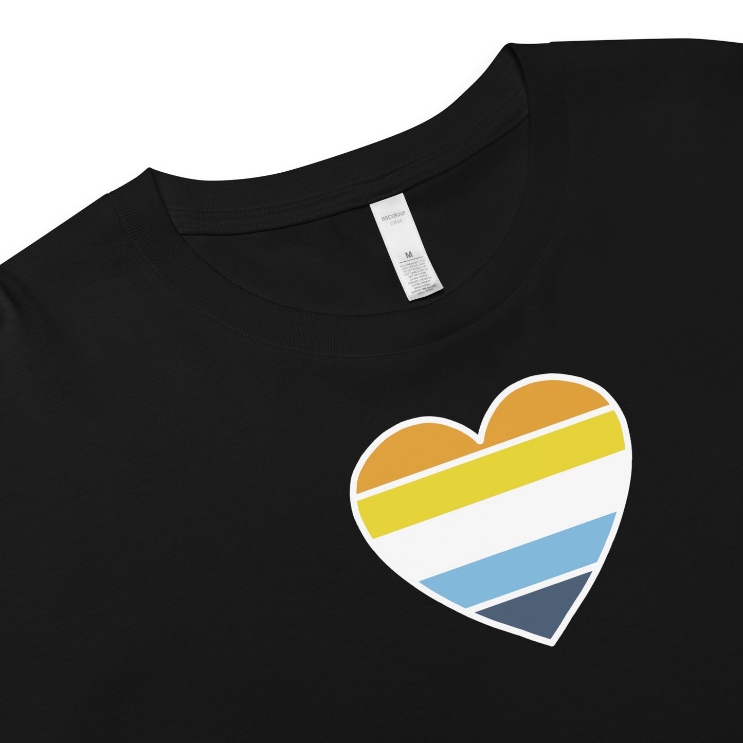 Aroace Pride Heart Crop Top